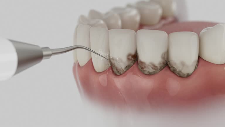 Reliable Dental contractor in Charlevoix, MI by Dentist Open Now